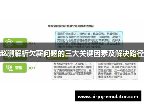 赵鹏解析欠薪问题的三大关键因素及解决路径