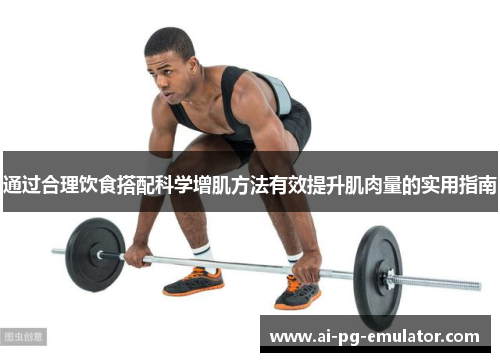 通过合理饮食搭配科学增肌方法有效提升肌肉量的实用指南