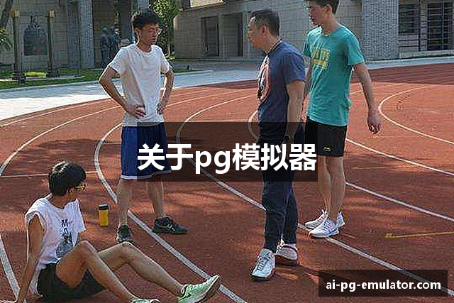 关于pg模拟器